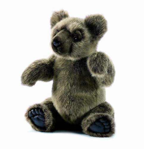 OURS ARTICULE