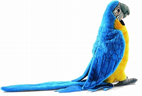 ARA BLEU 31 CM