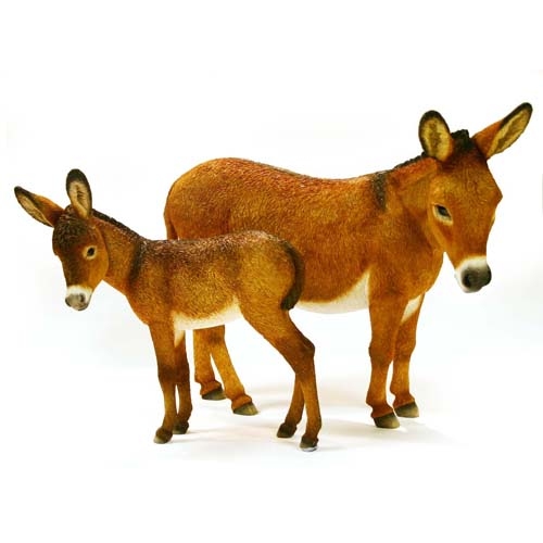 ANE 27.5 CM & PETIT 22 CM