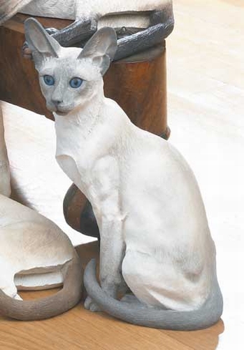 CHAT SIAMOIS ASSIS 23 CM