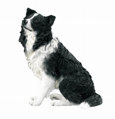 BORDER COLLIE ASSIS 11 CM