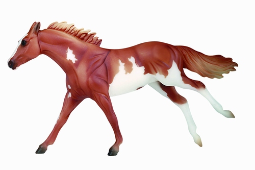 THOROUGHBRED