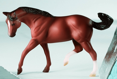 AMERICAN QUARTER HORSE