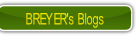 wp79bb1e83.png